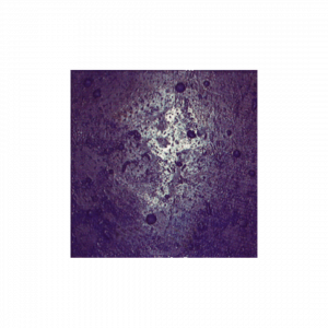 Deep Sea