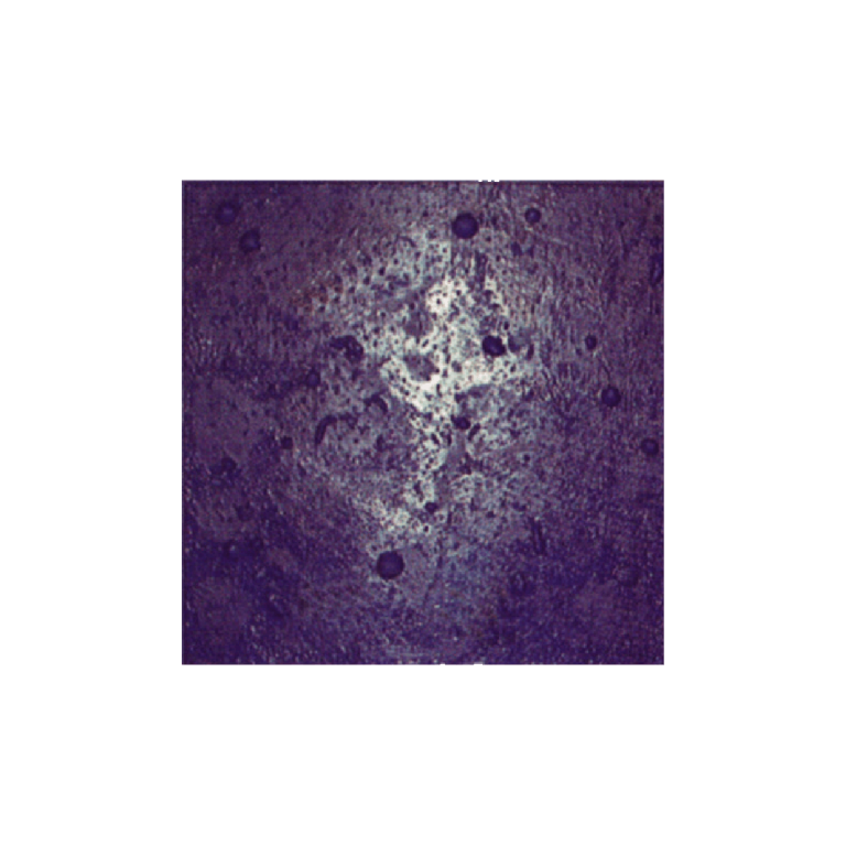 Deep Sea